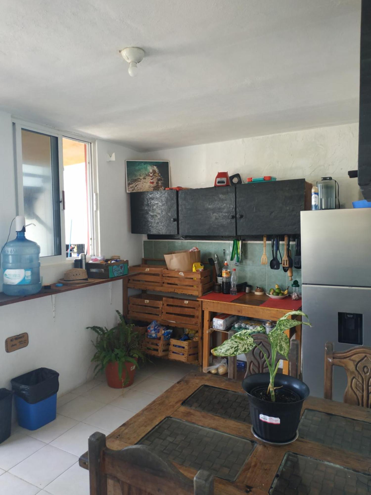 Casa Kayab 호텔 푸에르토 모렐로스 외부 사진